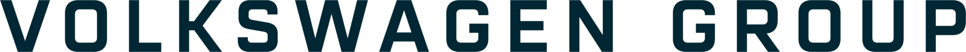 Volkswagen Group Logo